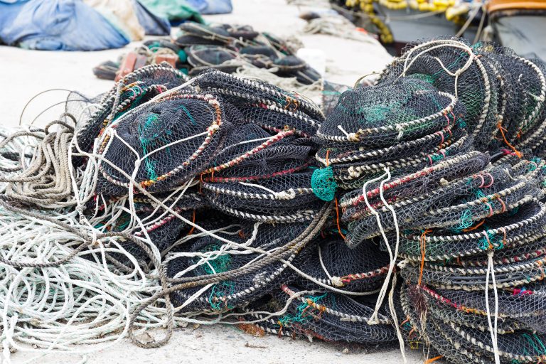 Pesca di Antonio